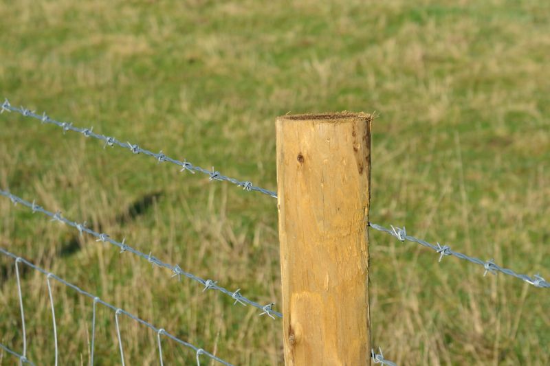 Fence Post Replacement
